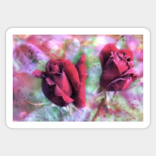 Two red roses with abstract background Sticker